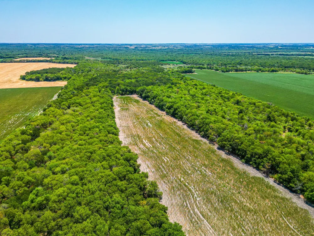 Fm 744 Malone, TX 76660