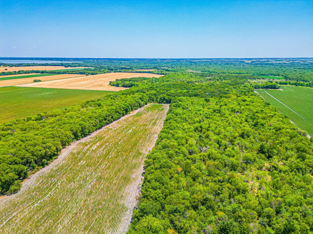 Fm 744 Malone, TX 76660