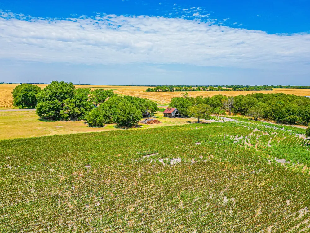 Fm 744 Malone, TX 76660