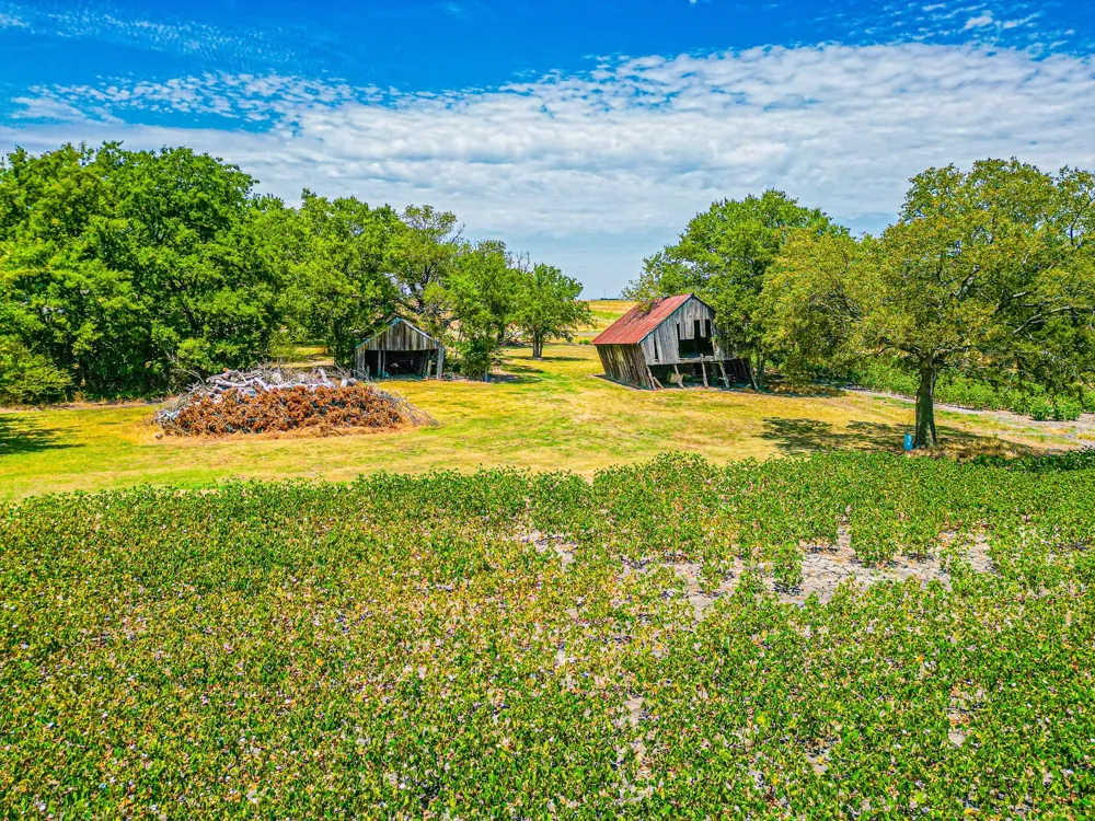 Fm 744 Malone, TX 76660