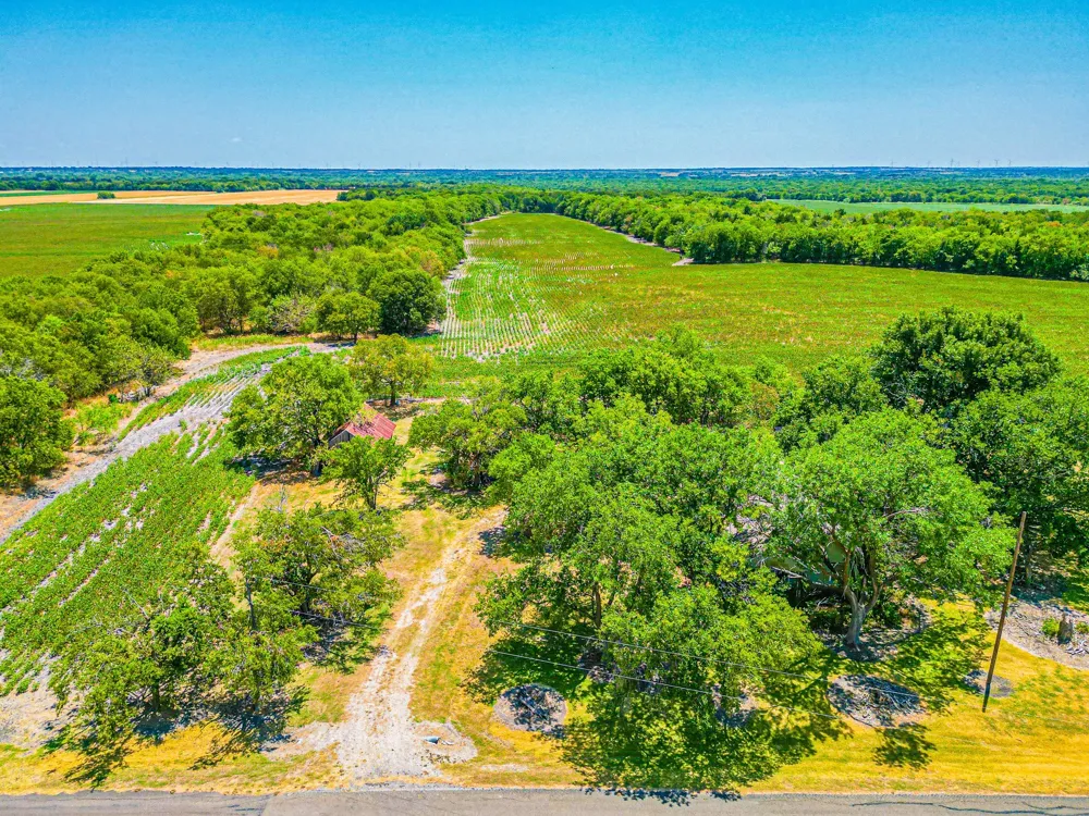 Fm 744 Malone, TX 76660