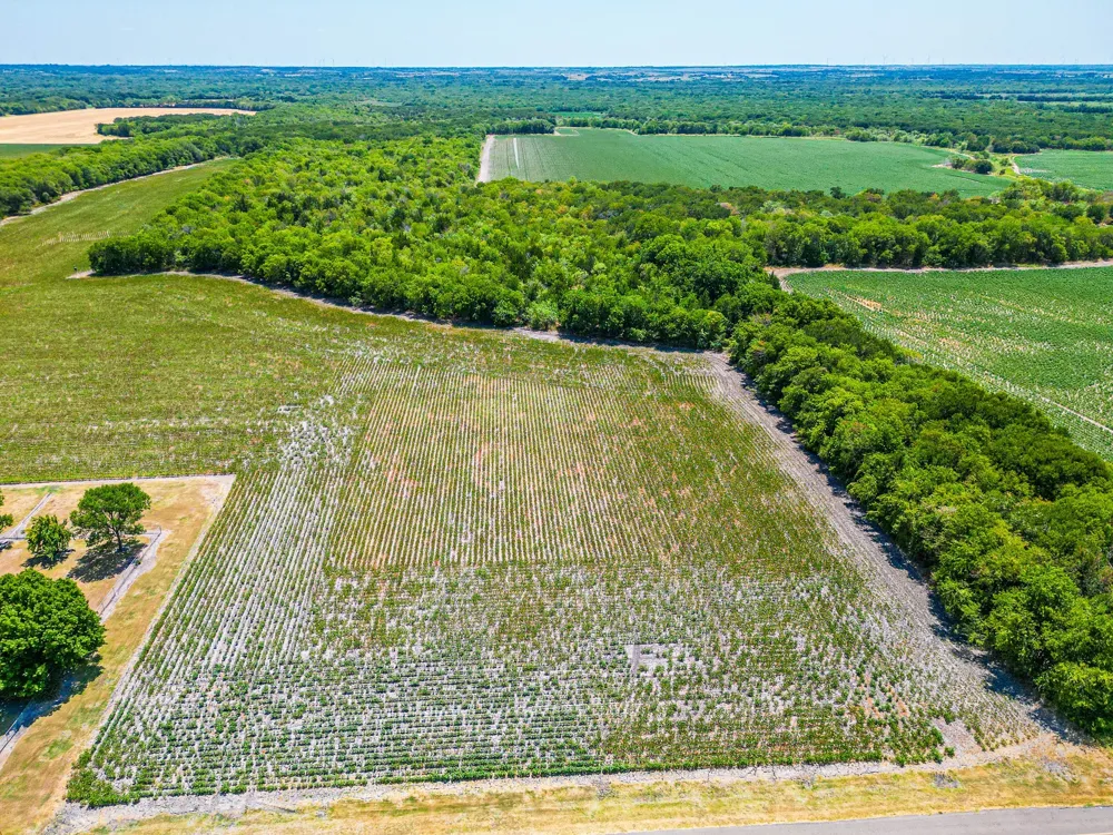 Fm 744 Malone, TX 76660