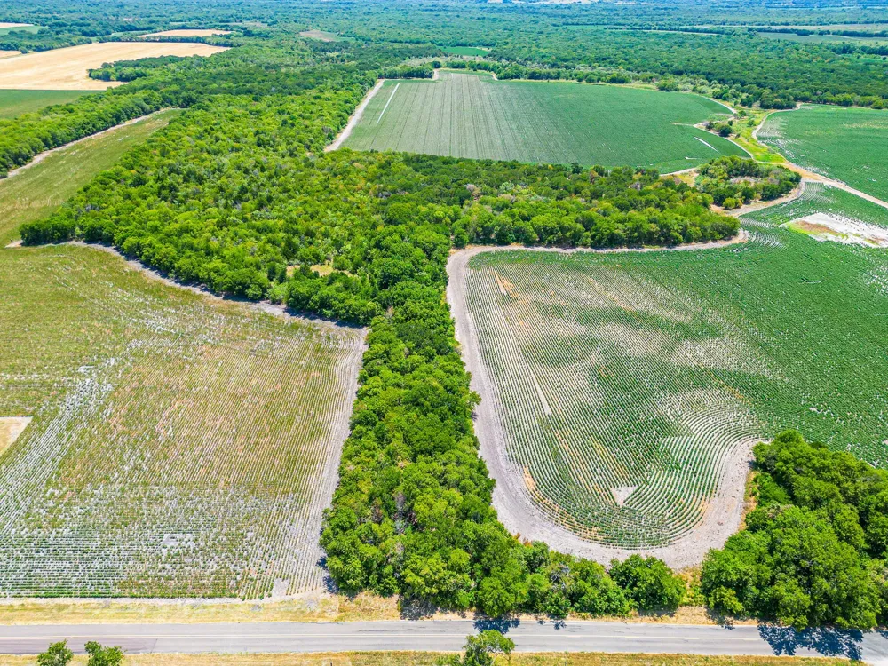 Fm 744 Malone, TX 76660