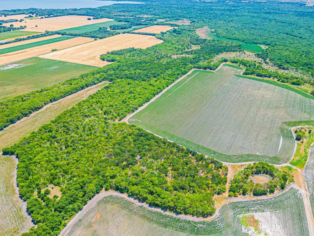 Fm 744 Malone, TX 76660
