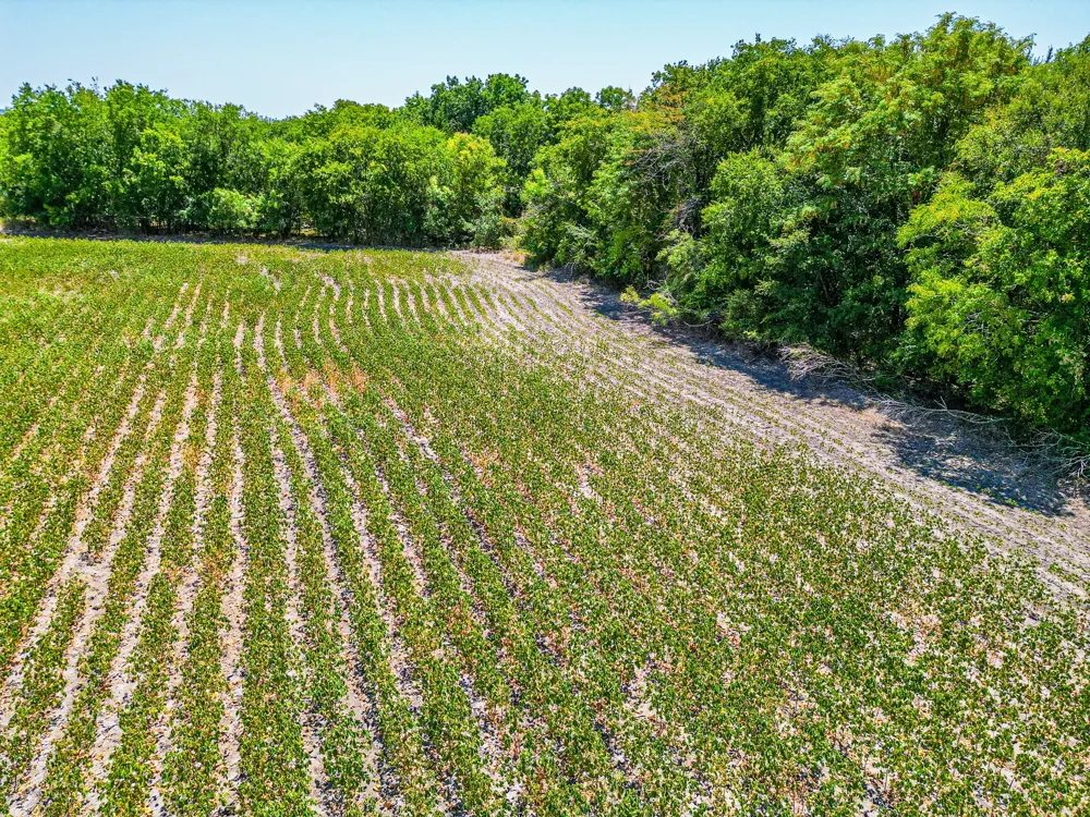 Fm 744 Malone, TX 76660