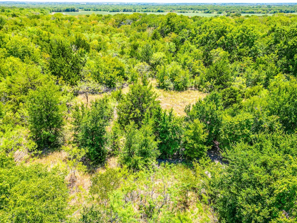 Fm 744 Malone, TX 76660
