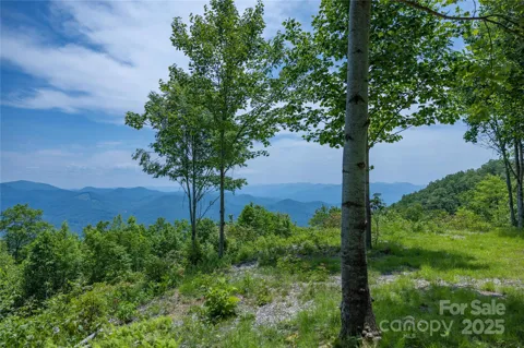 3409 Parris Branch Road