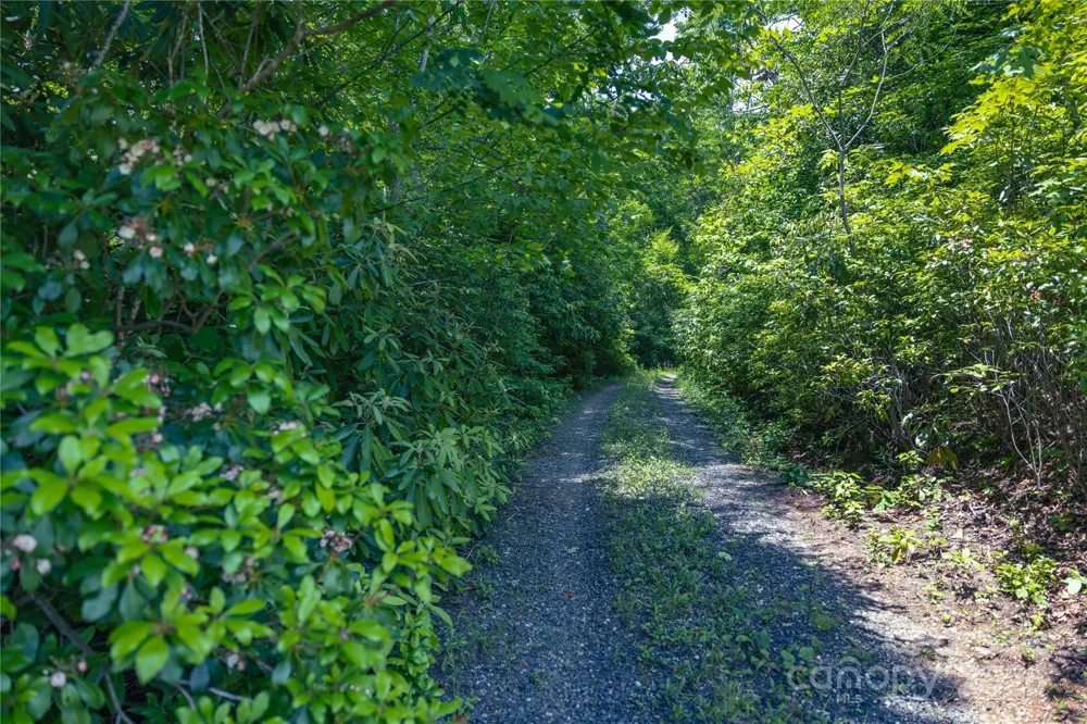 3409 Parris Branch Road Sylva, NC 28779