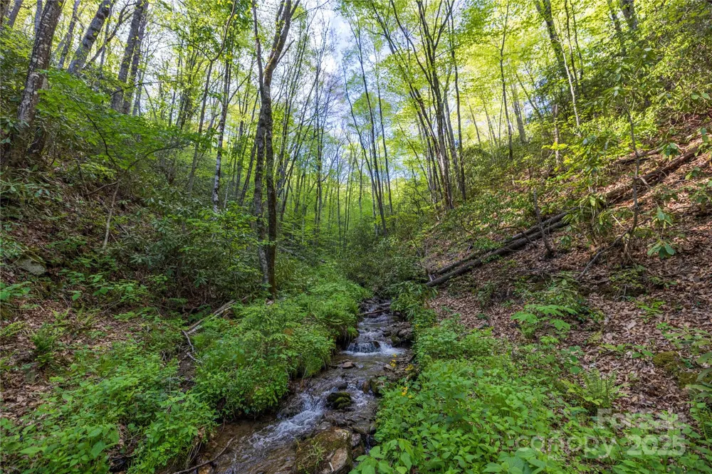 3409 Parris Branch Road Sylva, NC 28779