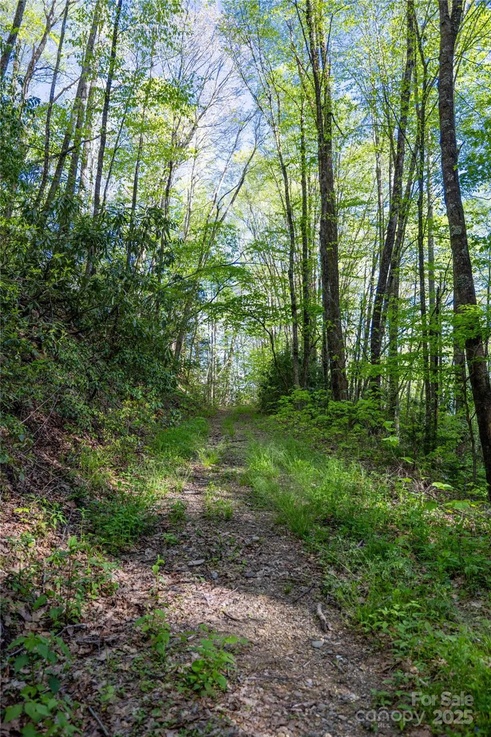 3409 Parris Branch Road Sylva, NC 28779