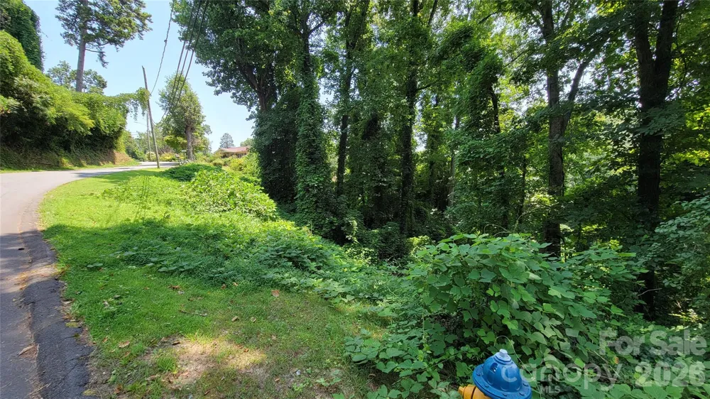 160 Cleveland Road Tryon, NC 28782