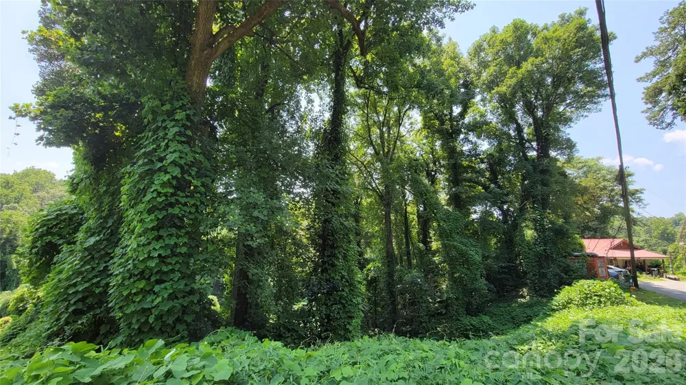 160 Cleveland Road Tryon, NC 28782