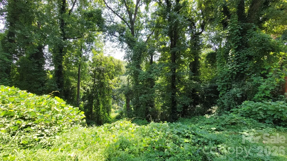 160 Cleveland Road Tryon, NC 28782