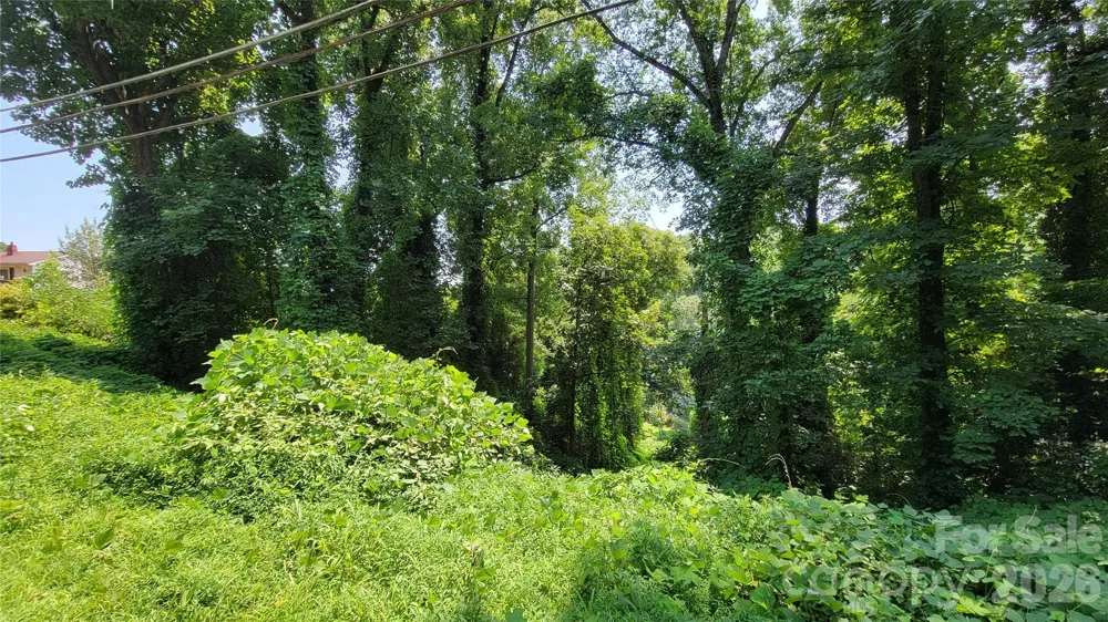 160 Cleveland Road Tryon, NC 28782
