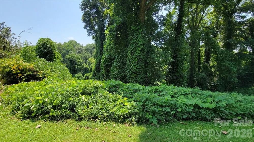 160 Cleveland Road Tryon, NC 28782