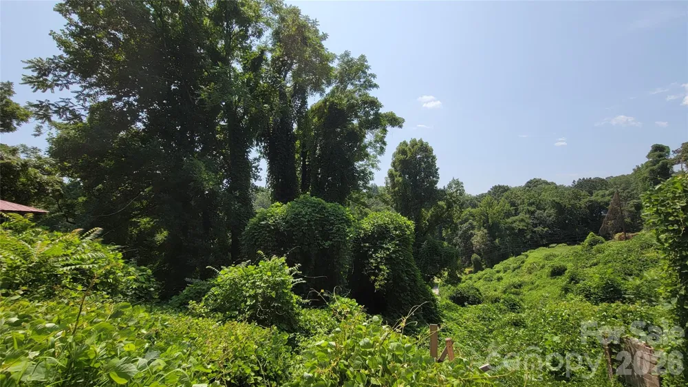 160 Cleveland Road Tryon, NC 28782