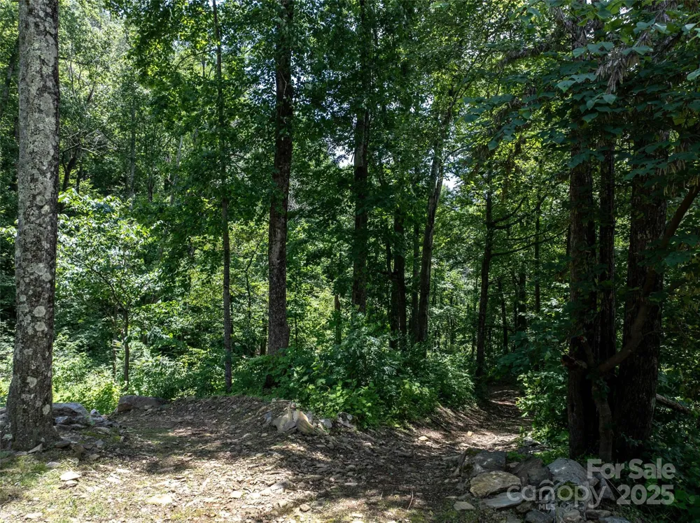 0 Doubleview Drive Union Mills, NC 28167