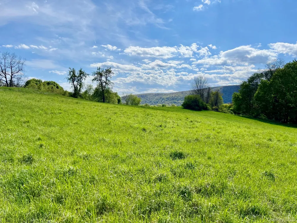 7668 Route 82 Pine Plains, NY 12567