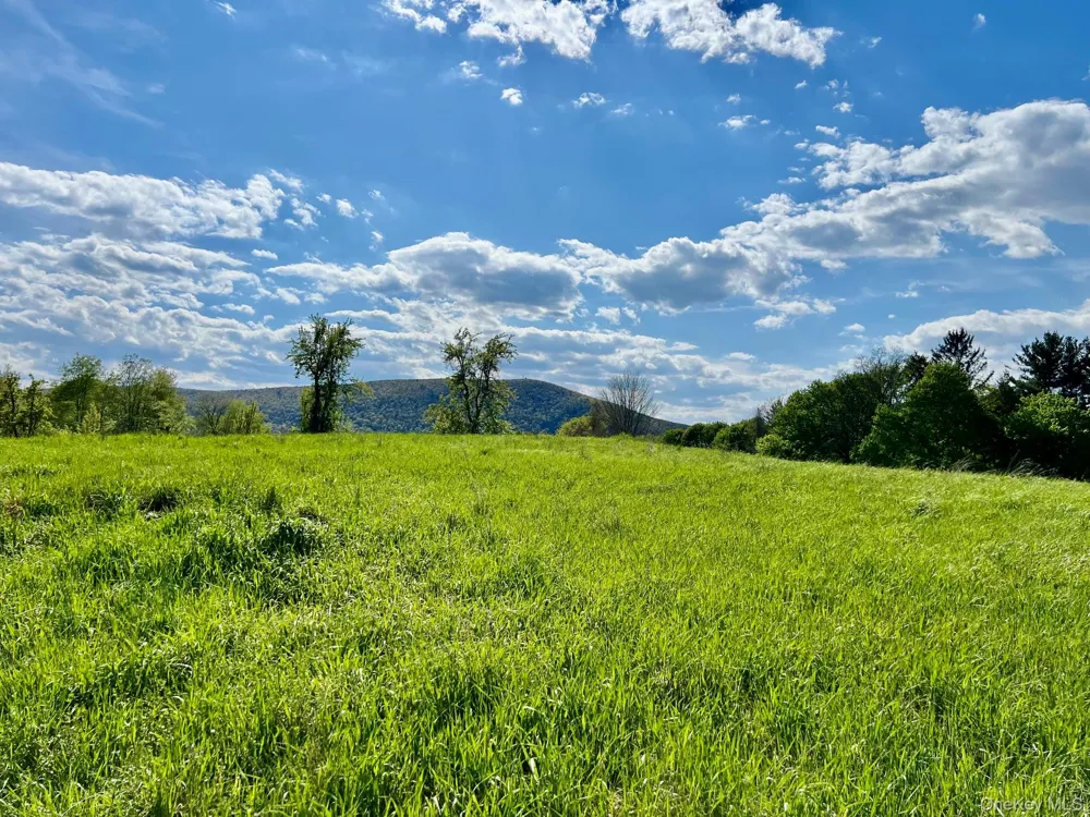 7668 Route 82 Pine Plains, NY 12567