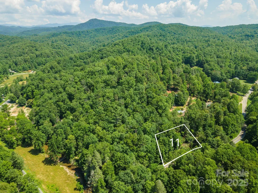 11 Roy Lane Black Mountain, NC 28711