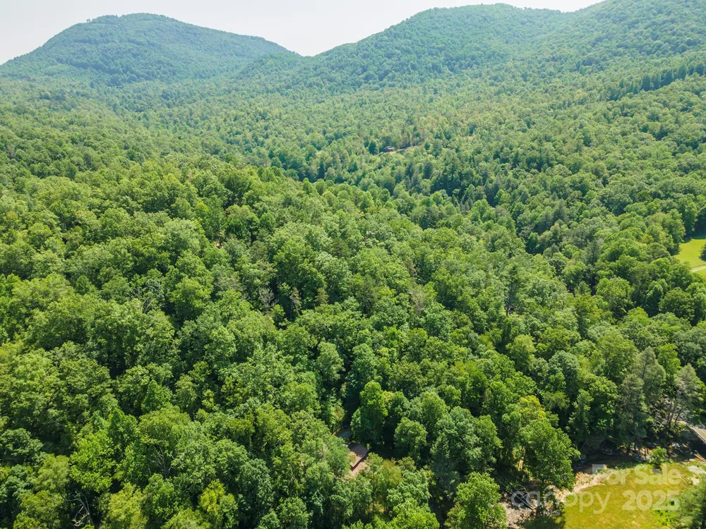 11 Roy Lane Black Mountain, NC 28711