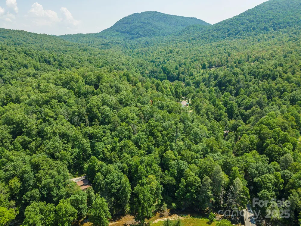 11 Roy Lane Black Mountain, NC 28711