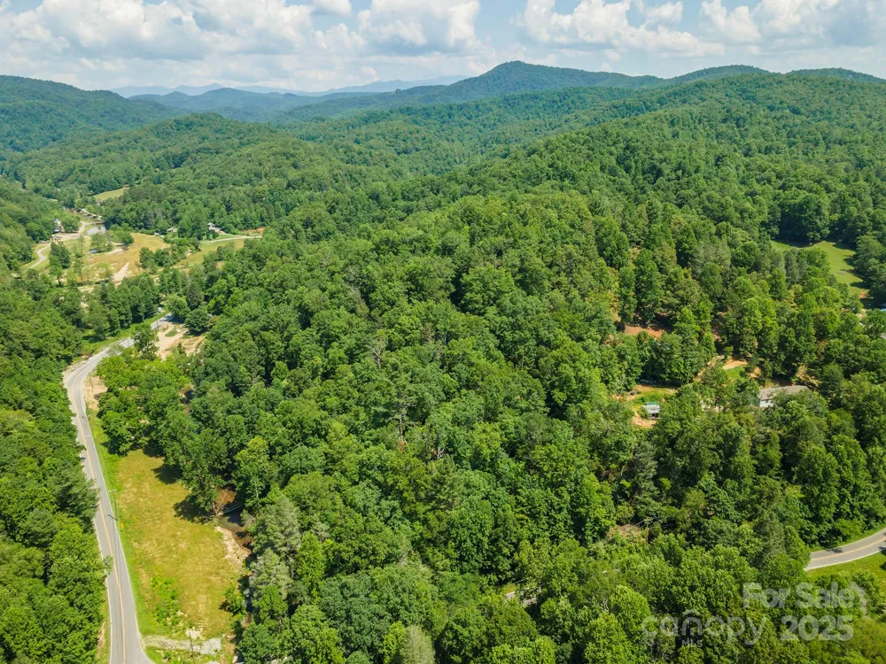11 Roy Lane Black Mountain, NC 28711