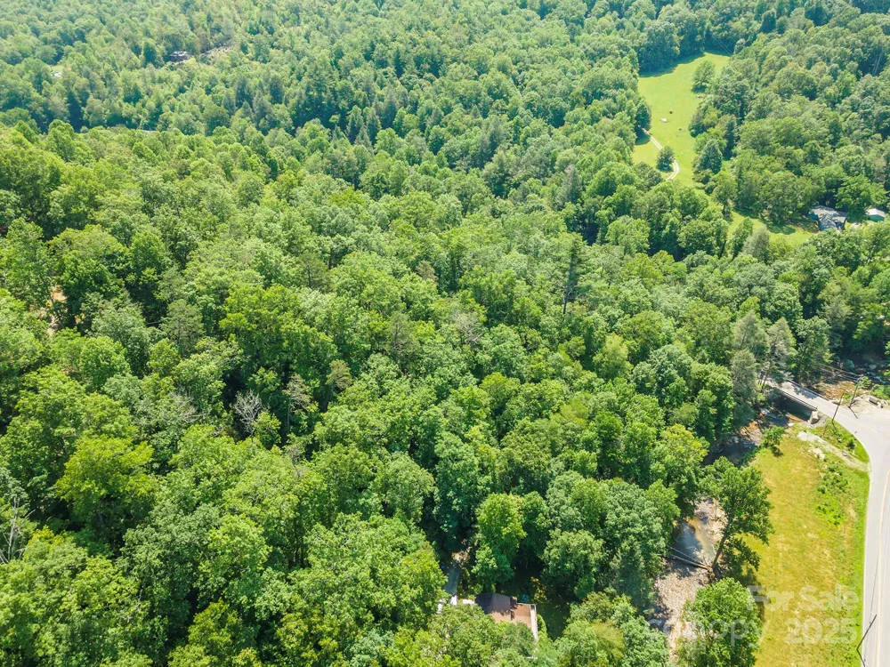 11 Roy Lane Black Mountain, NC 28711