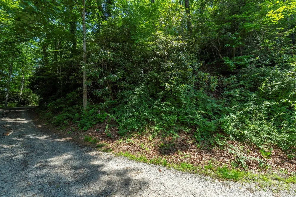 11 Roy Lane Black Mountain, NC 28711