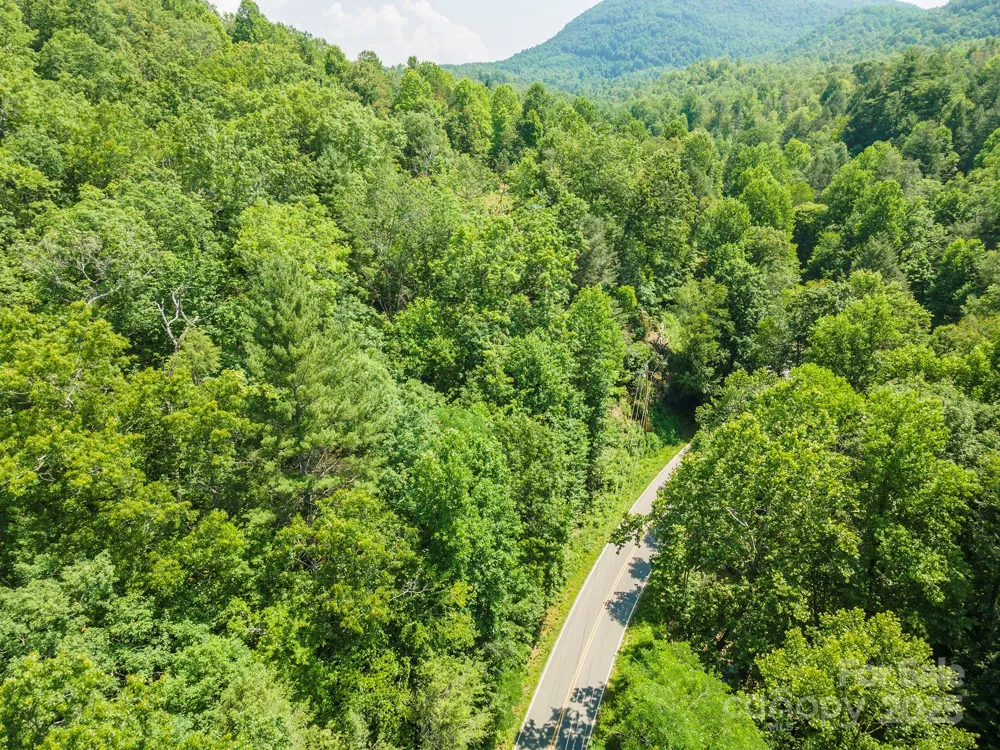 11 Roy Lane Black Mountain, NC 28711
