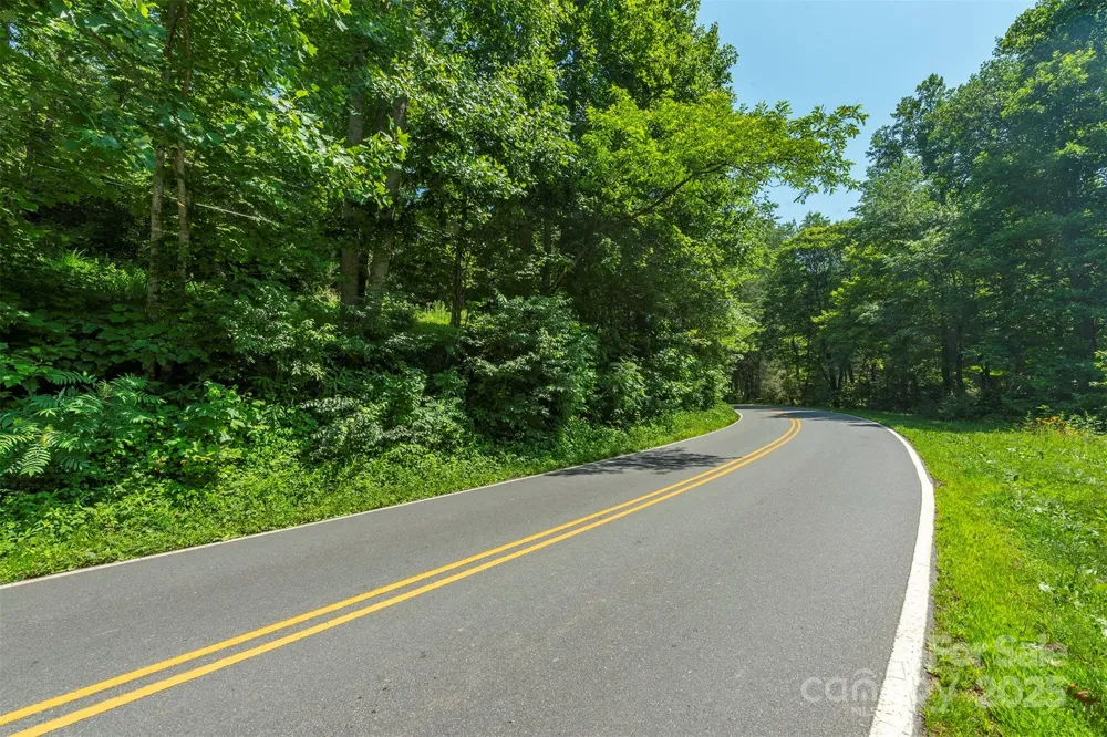 11 Roy Lane Black Mountain, NC 28711