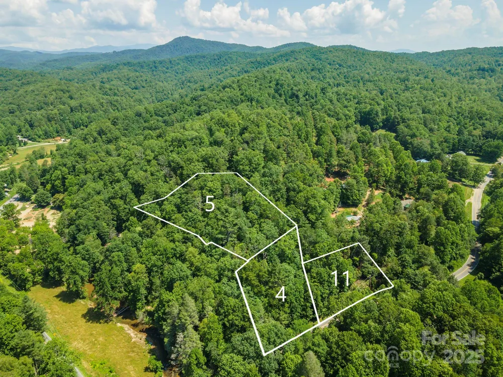 11 Roy Lane Black Mountain, NC 28711