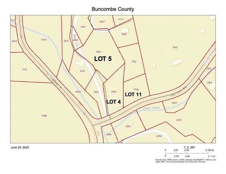 11 Roy Lane Black Mountain, NC 28711