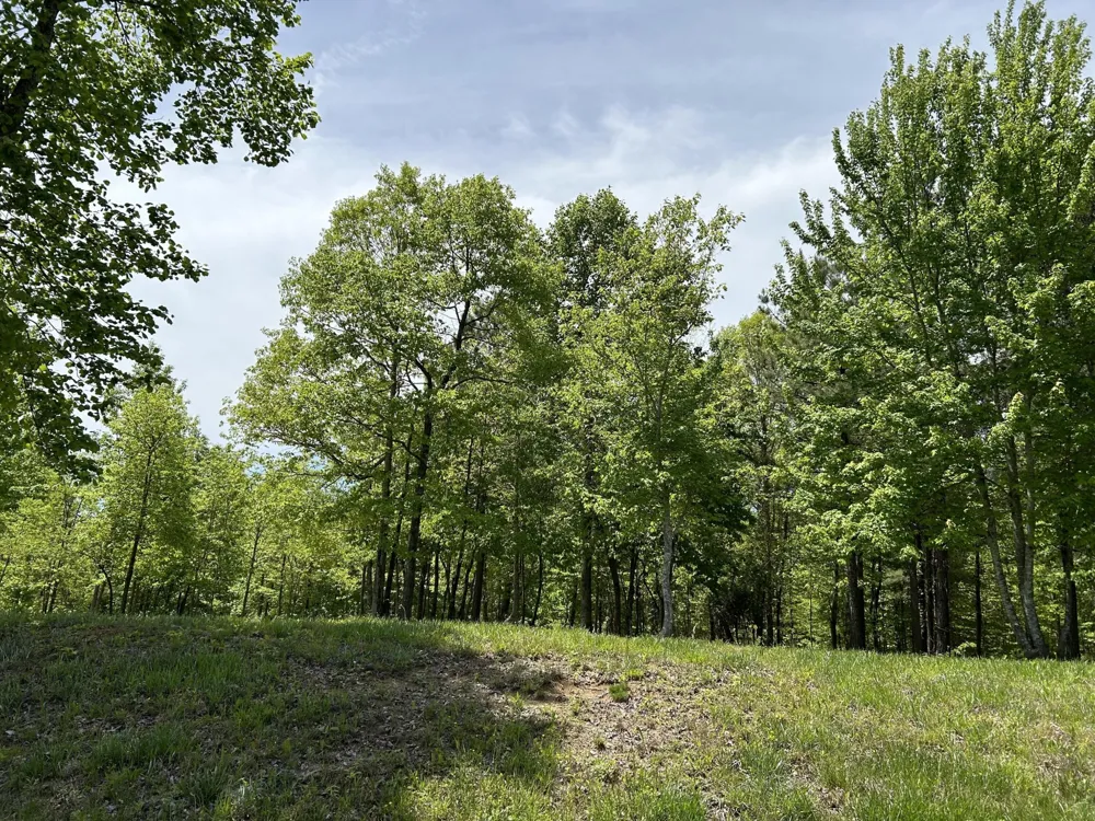 275 Lookout View Drive Jasper, TN 37347