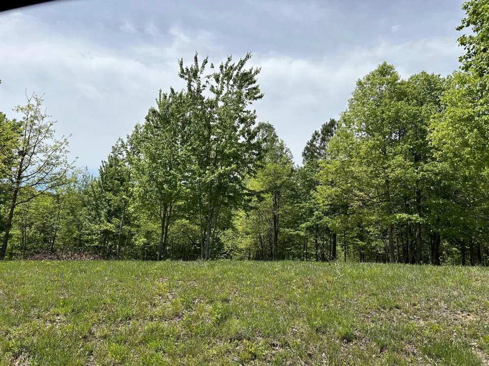 275 Lookout View Drive Jasper, TN 37347