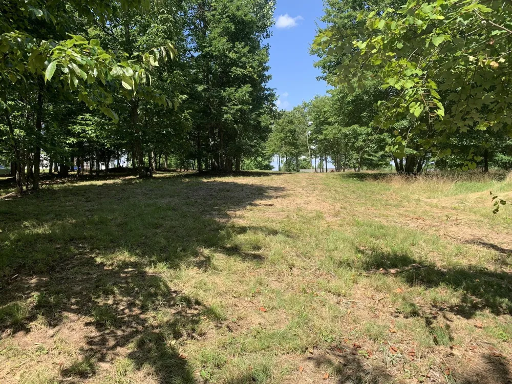 275 Lookout View Drive Jasper, TN 37347