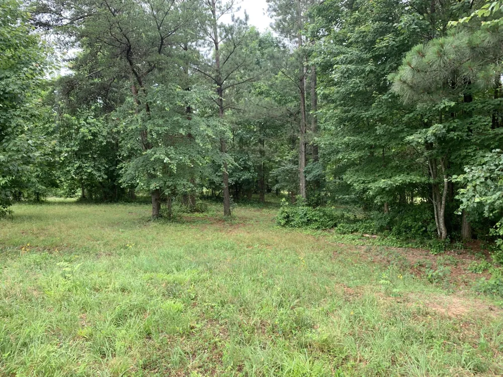 275 Lookout View Drive Jasper, TN 37347