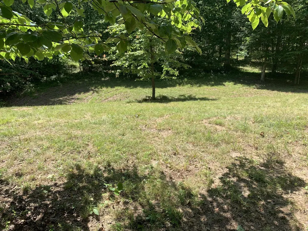 275 Lookout View Drive Jasper, TN 37347