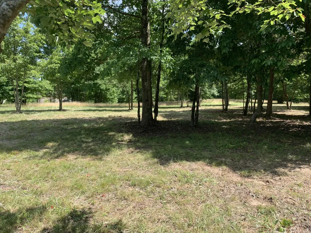 275 Lookout View Drive Jasper, TN 37347