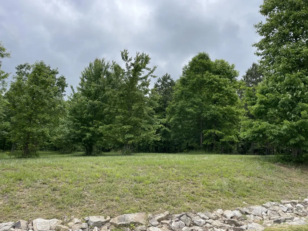 275 Lookout View Drive Jasper, TN 37347