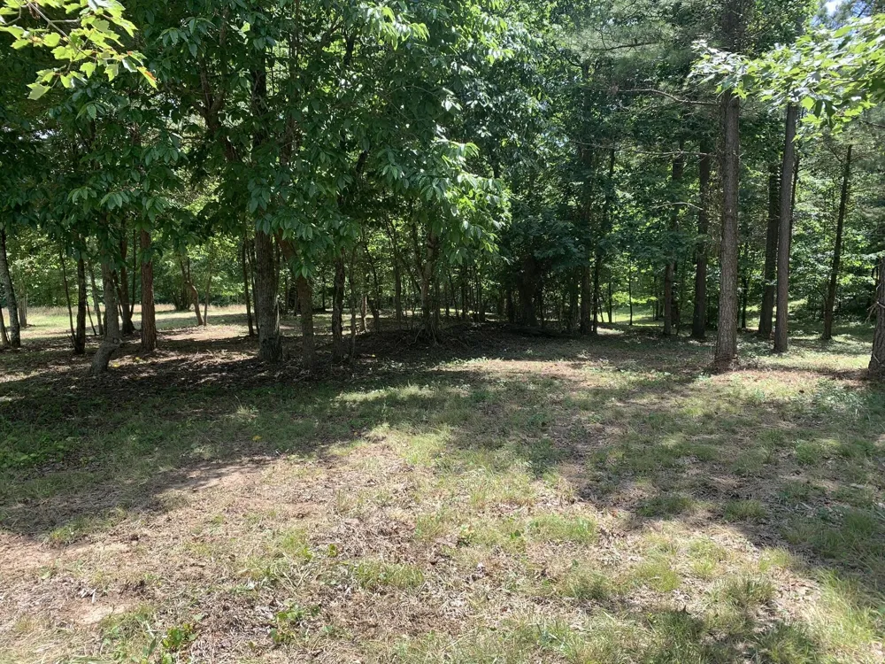 275 Lookout View Drive Jasper, TN 37347