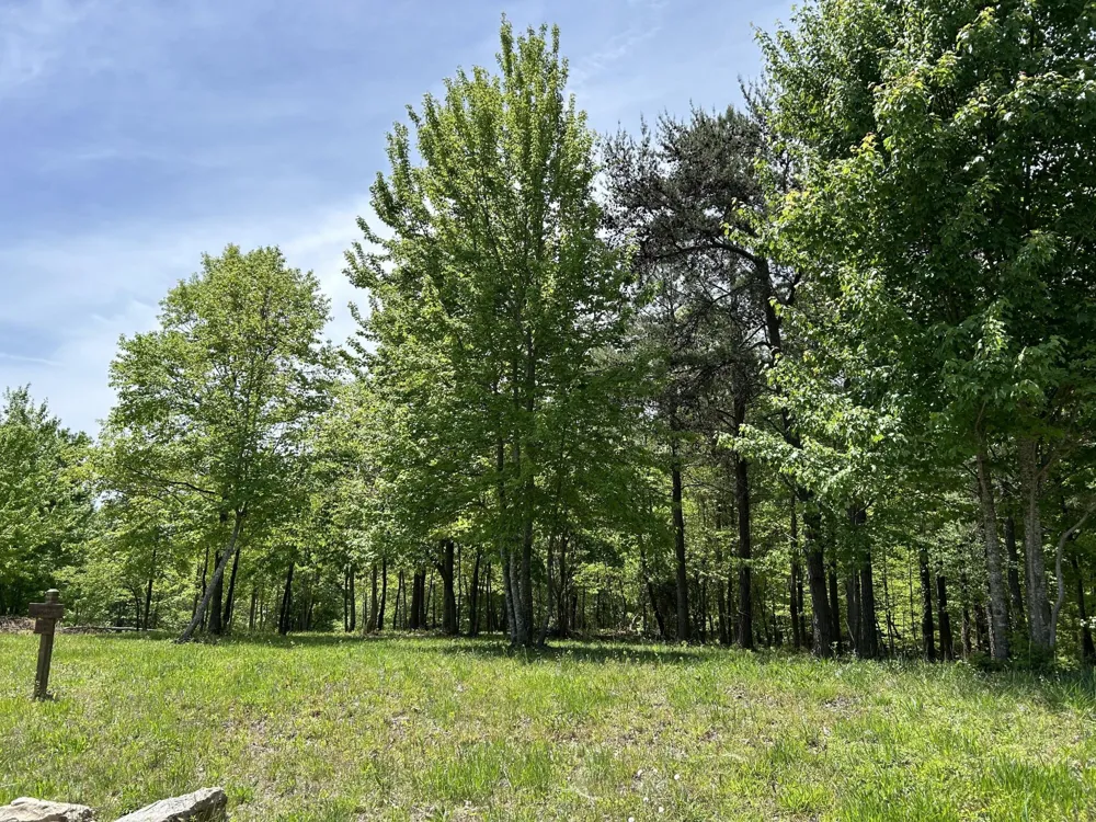 275 Lookout View Drive Jasper, TN 37347
