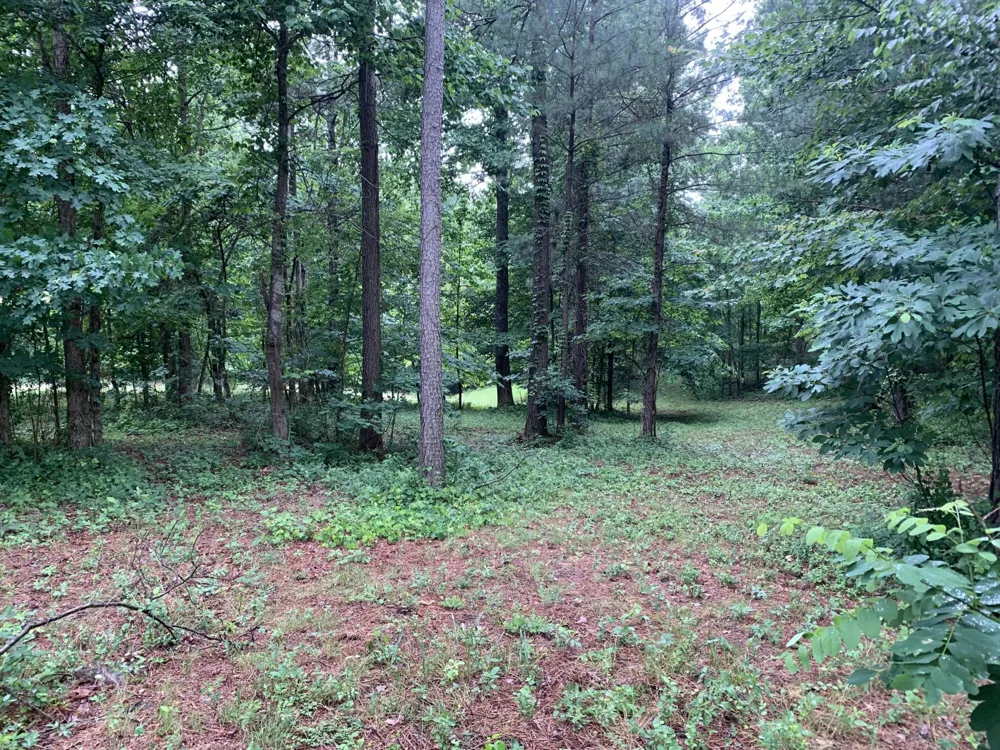 275 Lookout View Drive Jasper, TN 37347