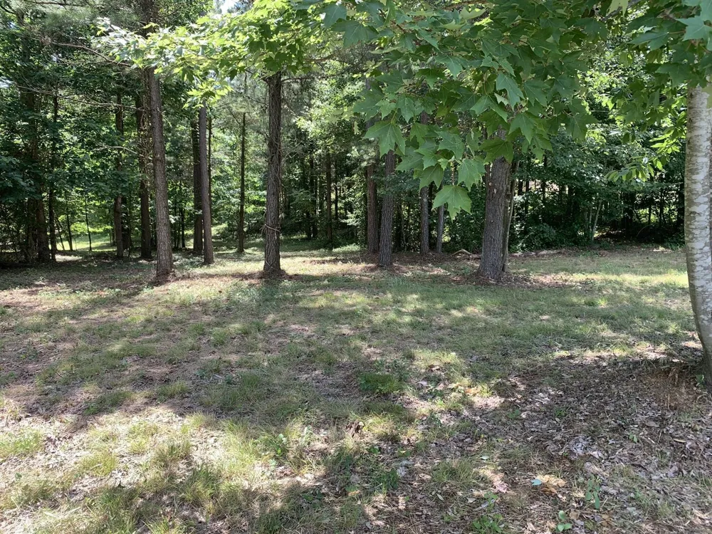 275 Lookout View Drive Jasper, TN 37347