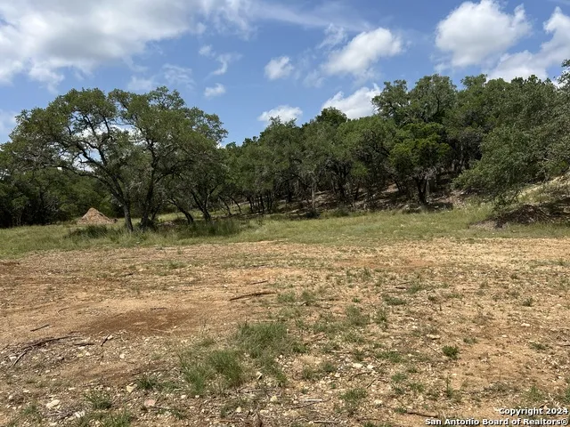 245 Sydney Springs Helotes, TX 78023