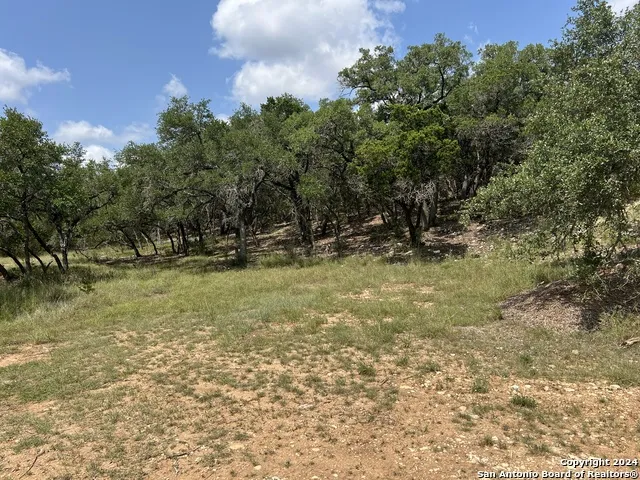245 Sydney Springs Helotes, TX 78023