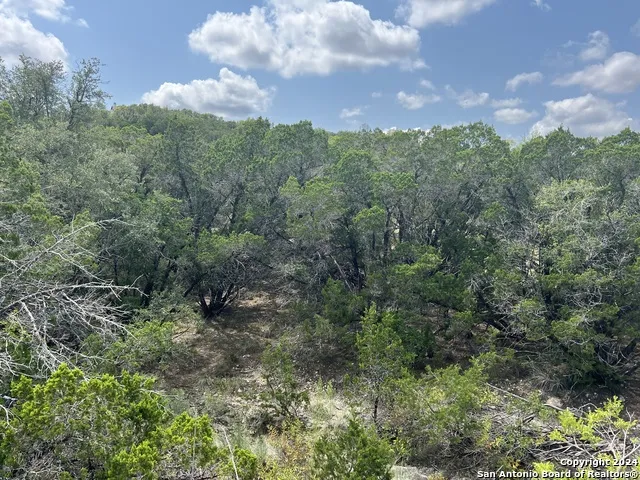 245 Sydney Springs Helotes, TX 78023