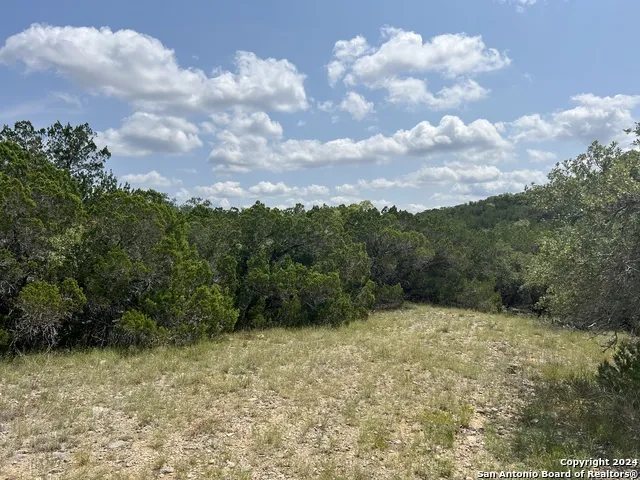 245 Sydney Springs Helotes, TX 78023