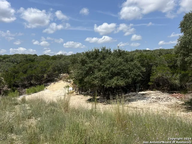 245 Sydney Springs Helotes, TX 78023