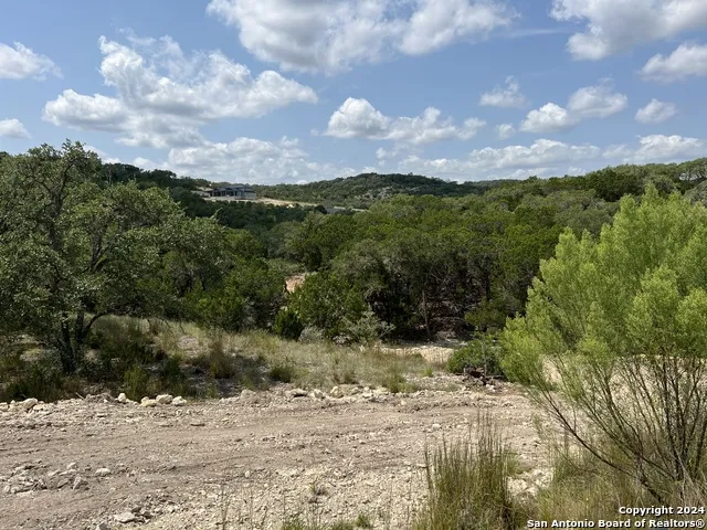245 Sydney Springs Helotes, TX 78023